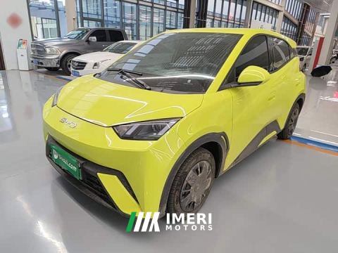 2024 BYD Seagull Glory Edition 305km Vitality Version