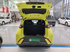 BYD Seagull Glory Edition 305km Vitality Version - ფოტო 19