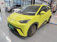 BYD Seagull Glory Edition 305km Vitality Version - ფოტო 2