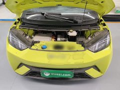 BYD Seagull Glory Edition 305km Vitality Version - ფოტო 20