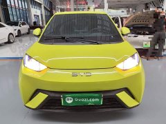 BYD Seagull Glory Edition 305km Vitality Version - ფოტო 3