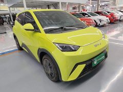 BYD Seagull Glory Edition 305km Vitality Version - ფოტო 4