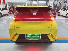 BYD Seagull Glory Edition 305km Vitality Version - ფოტო 6