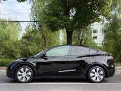 Tesla Model Y Rear-Wheel Drive - ფოტო 2
