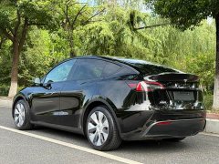 Tesla Model Y Rear-Wheel Drive - ფოტო 3
