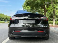 Tesla Model Y Rear-Wheel Drive - ფოტო 4