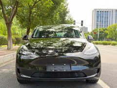 Tesla Model Y Rear-Wheel Drive - ფოტო 8