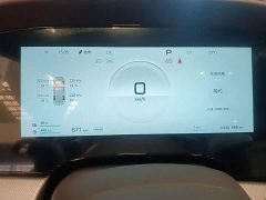 BYD Dolphin 07 DM-i 2026 DM-i 1.5T 230km Flagship - ფოტო 12