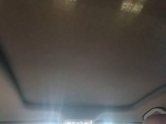 BYD Dolphin 07 DM-i 2026 DM-i 1.5T 230km Flagship - ფოტო 18