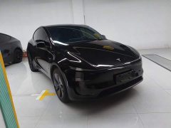 Tesla Model Y Rear-Wheel Drive - ფოტო 4