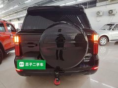 Tank 500 New Energy Hi4-T Black Warrior Edition - ფოტო 6