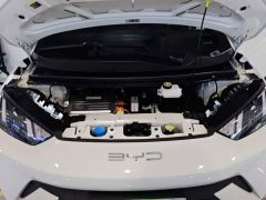 BYD Seagull Vitality Edition - ფოტო 20