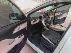 BYD Seagull Glory Edition 305km Freedom Version - ფოტო 12