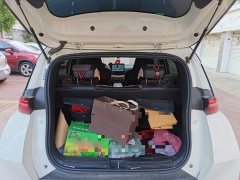 BYD Seagull Glory Edition 305km Freedom Version - ფოტო 15