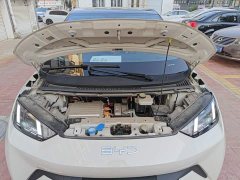 BYD Seagull Glory Edition 305km Freedom Version - ფოტო 16