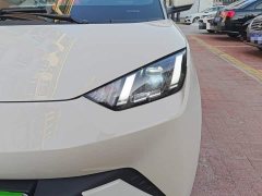 BYD Seagull Glory Edition 305km Freedom Version - ფოტო 18