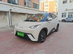 BYD Seagull Glory Edition 305km Freedom Version - ფოტო 2