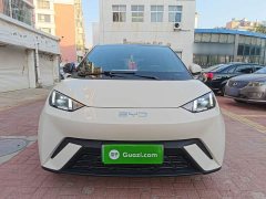 BYD Seagull Glory Edition 305km Freedom Version - ფოტო 3