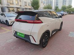 BYD Seagull Glory Edition 305km Freedom Version - ფოტო 5