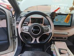 BYD Seagull Glory Edition 305km Freedom Version - ფოტო 7