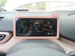 BYD Seagull Glory Edition 305km Freedom Version - ფოტო 8