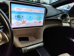 BYD Dolphin 405km Fashion Edition - ფოტო 13
