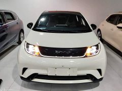BYD Dolphin 405km Fashion Edition - ფოტო 3