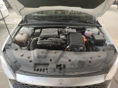 BYD Qin PLUS Glory Edition DM-i 55KM Leading - ფოტო 20