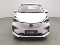 Changan Benben E-Star 2020 Joyful Edition Ternary Lithium - ფოტო 3