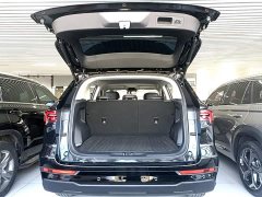 Ford Lingrui 2025 EcoBoost 170 Leader Edition - ფოტო 19