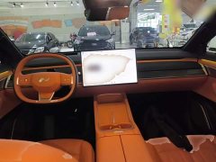 Nio Lerado L60 2024 60kWh Rear-Wheel Drive - ფოტო 10