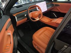 Nio Lerado L60 2024 60kWh Rear-Wheel Drive - ფოტო 16
