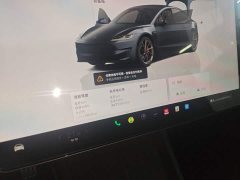 Tesla Model 3 High Performance All-Wheel Drive - ფოტო 13