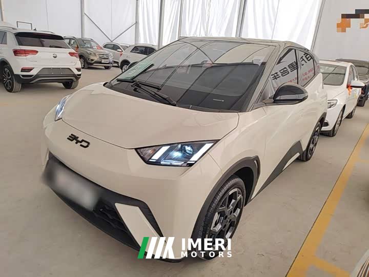 BYD Seagull 2025 305km Freedom Edition - ავტომობილი ჩინეთიდან