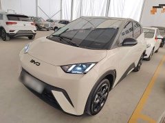 BYD Seagull 2025 305km Freedom Edition - ფოტო 1