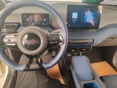 BYD Seagull 2025 305km Freedom Edition - ფოტო 10