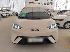 BYD Seagull 2025 305km Freedom Edition - ფოტო 3