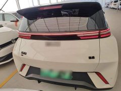 BYD Seagull 2025 305km Freedom Edition - ფოტო 6