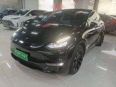 Tesla Model Y Long Range All-Wheel Drive - ფოტო 1