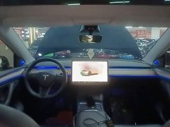 Tesla Model Y Long Range All-Wheel Drive - ფოტო 10