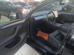 Tesla Model Y Long Range All-Wheel Drive - ფოტო 16