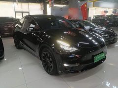 Tesla Model Y Long Range All-Wheel Drive - ფოტო 4