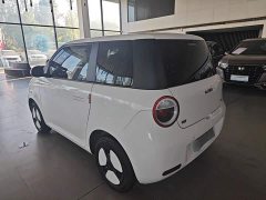 Changan Lumin 205km Xiangqin Edition - ფოტო 5
