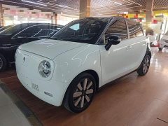 ORA Black Cat 351km Luxury - ფოტო 2