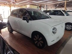 ORA Black Cat 351km Luxury - ფოტო 4