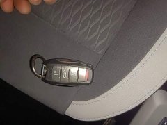 ORA Black Cat 351km Luxury - ფოტო 9