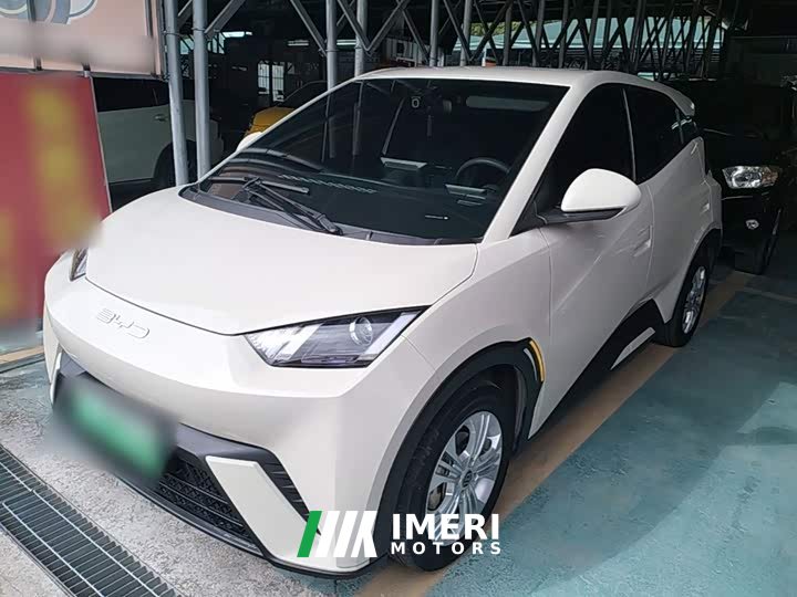 BYD Seagull Vitality Edition - ავტომობილი ჩინეთიდან