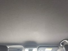 BYD Seagull Vitality Edition - ფოტო 18