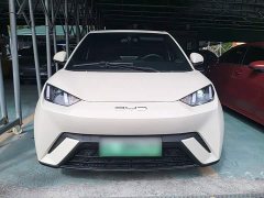 BYD Seagull Vitality Edition - ფოტო 3