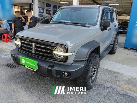 2021 Tank 300 Off-Road Edition 2.0T Conqueror - ავტომობილი ჩინეთიდან